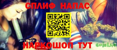 метадон Сланцы
