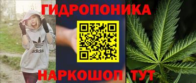 ПСИЛОЦИБИНОВЫЕ ГРИБЫ Славгород